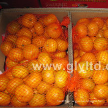New Crop Chinesa Fresca e Boa Qualidade Mandarin Orange
